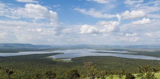 Seven Lions to be Re-introduced to Akagera National Park Akagera National Park