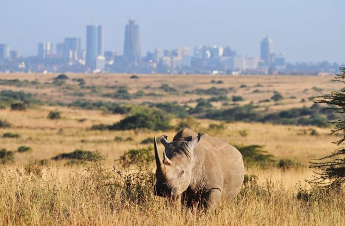 Kenya National Park