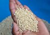 East Africa Grain