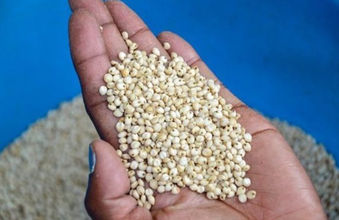East Africa Grain