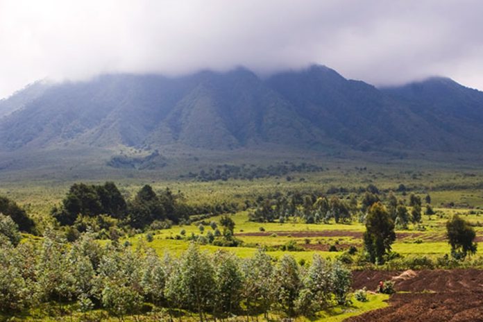 Virunga Volcanoes