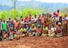 Politics at Centre of Poor Agriculture Performance Rwanda Farming