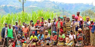 Politics at Centre of Poor Agriculture Performance Rwanda Farming