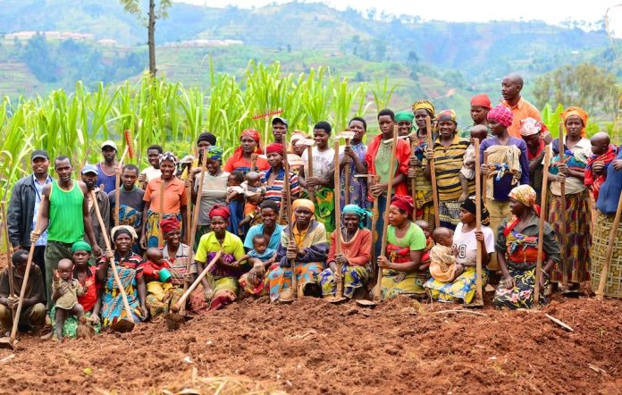 Rwanda Farming