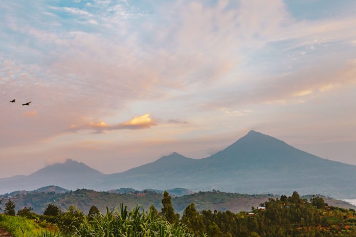 Volcanoes National Park of Rwanda