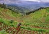 Rwanda the Land of a Thousand Hills