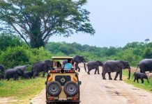 Kenya and Uganda Seek for Collaboration in Tourism Uganda Tourism