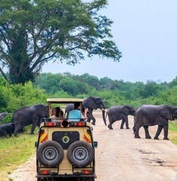Kenya and Uganda Seek for Collaboration in Tourism Uganda Tourism